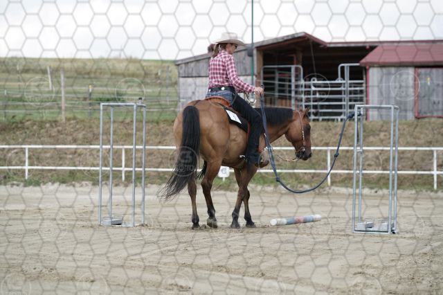 s_K3F06736.JPG